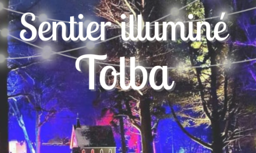 Sentier Tolba illuminé 2025 ( Image réduite)