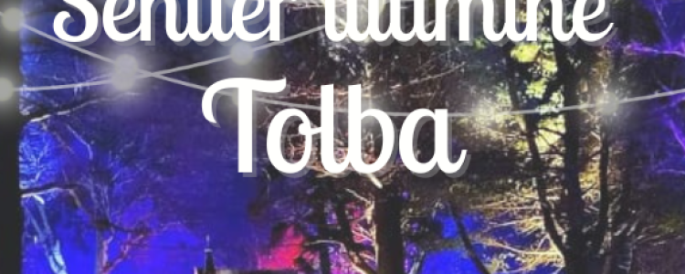 Sentier Tolba illuminé 2025 ( Image réduite)